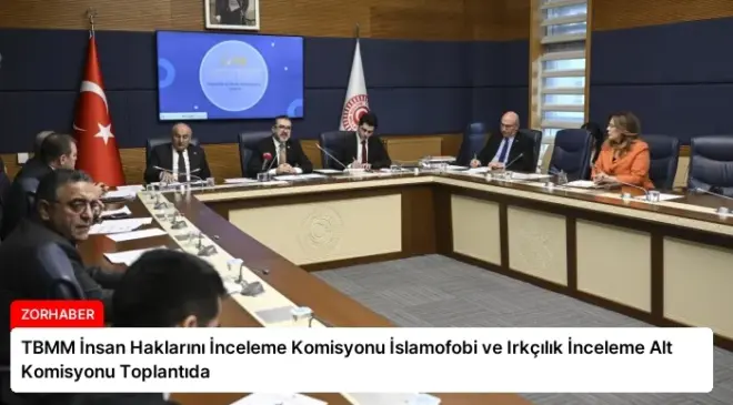 TBMM İnsan Haklarını İnceleme Komisyonu İslamofobi ve Irkçılık İnceleme Alt Komisyonu Toplantıda