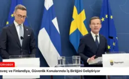 İsveç ve Finlandiya, Güvenlik Konularında İş Birliğini Geliştiriyor