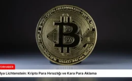 Ilya Lichtenstein: Kripto Para Hırsızlığı ve Kara Para Aklama